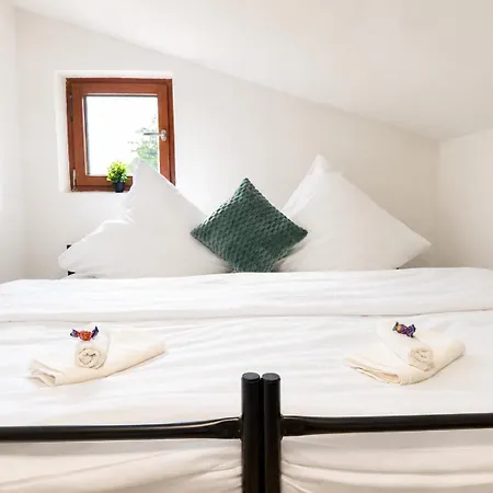 Lejlighed Modernes Mit Bergblick Bayerischer Wald Gratis Osserbad *