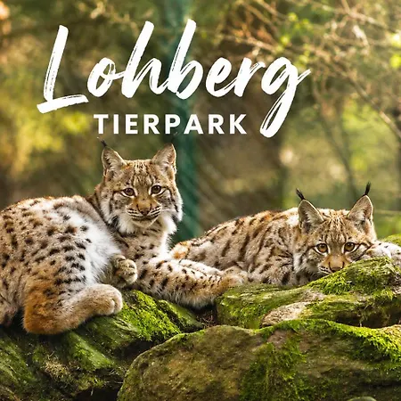 Modernes Mit Bergblick Bayerischer Wald Gratis Osserbad
