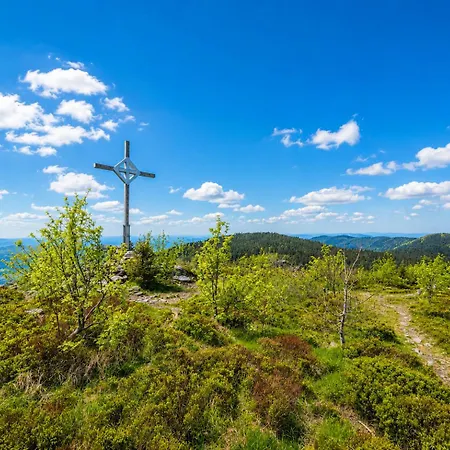 Apartament Modernes Mit Bergblick Bayerischer Wald Gratis Osserbad