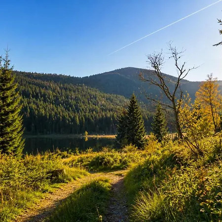 Modernes Mit Bergblick Bayerischer Wald Gratis Osserbad Apartament Lohberg