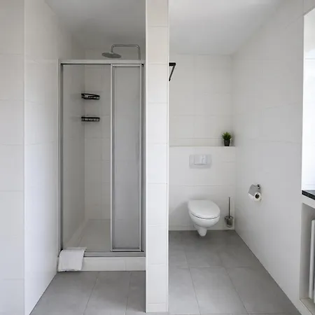 Modernes Mit Bergblick Bayerischer Wald Gratis Osserbad Lejlighed